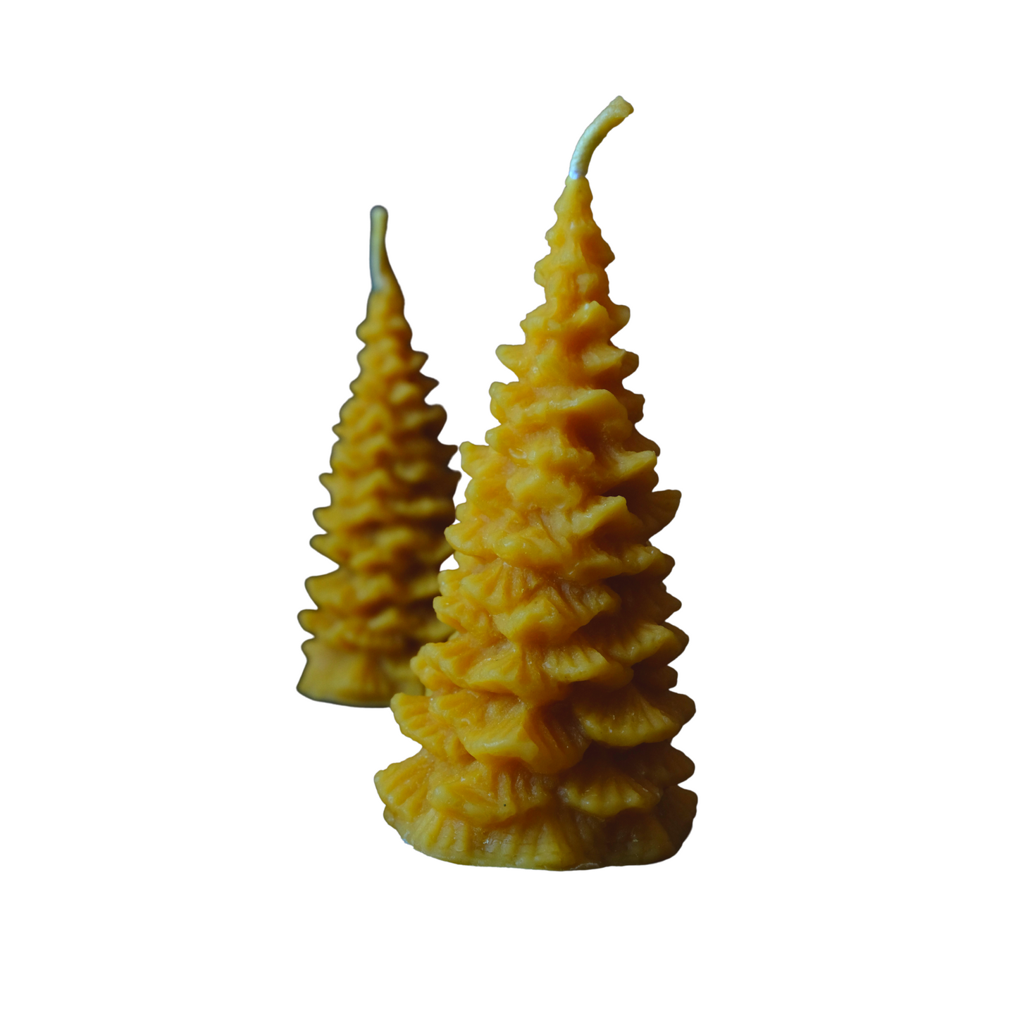 Schöner Weihnachtsbaum aus Bienenwachs
