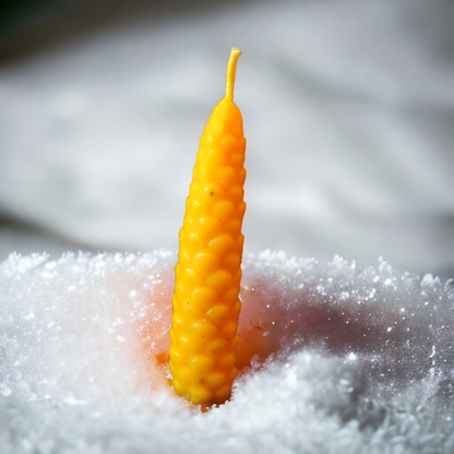 Tannenzapfen aus Bienenwachs