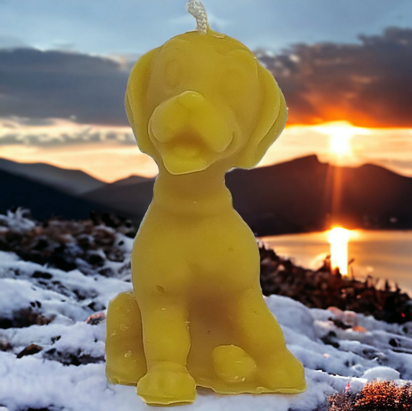 Hund aus Bienenwachs