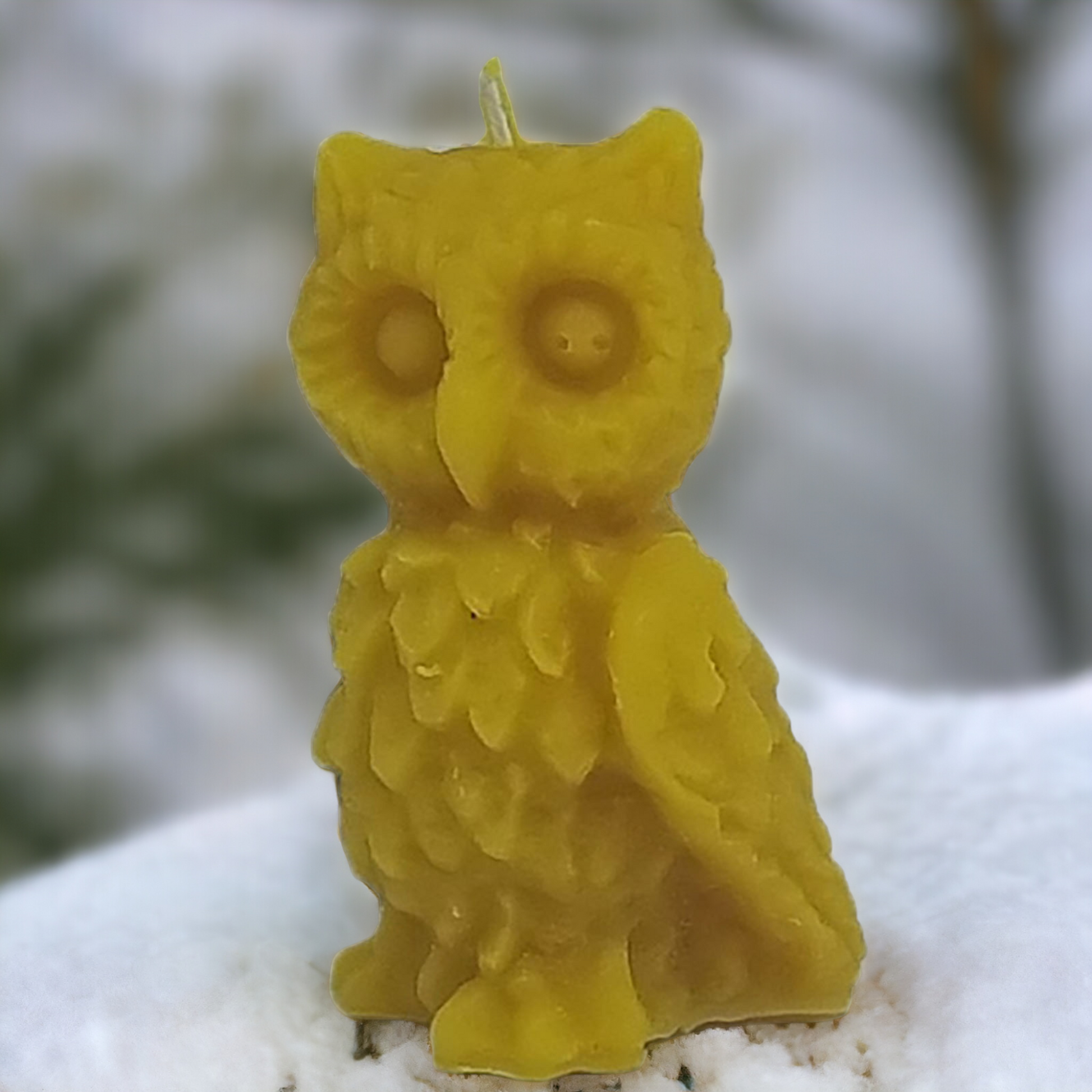 Eule aus Bienenwachs
