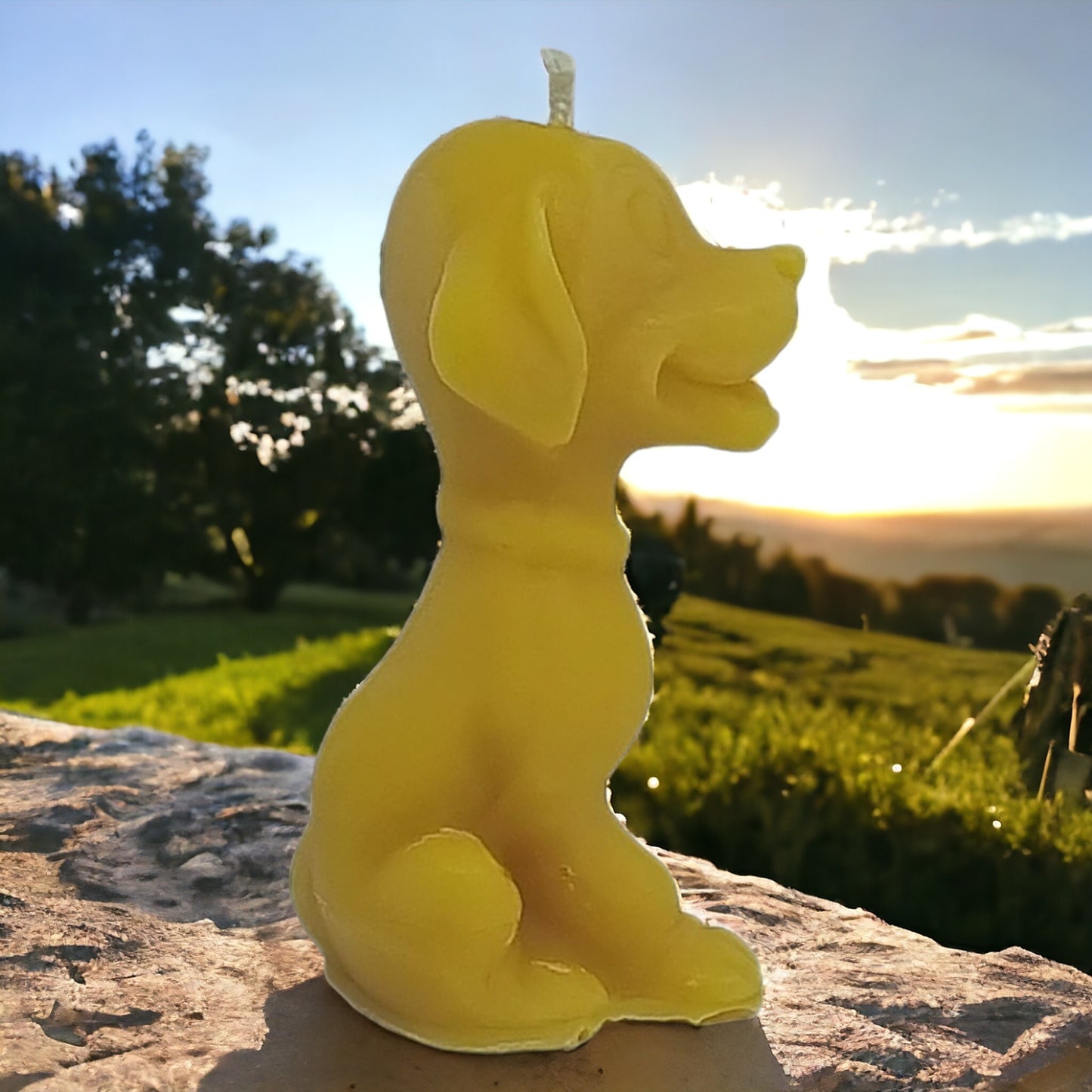 Hund aus Bienenwachs