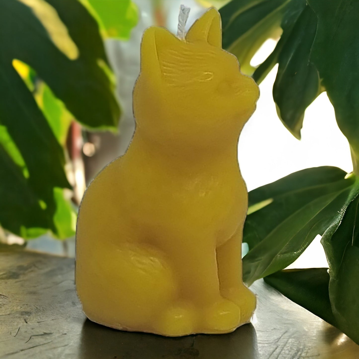 Katze aus Bienenwachs