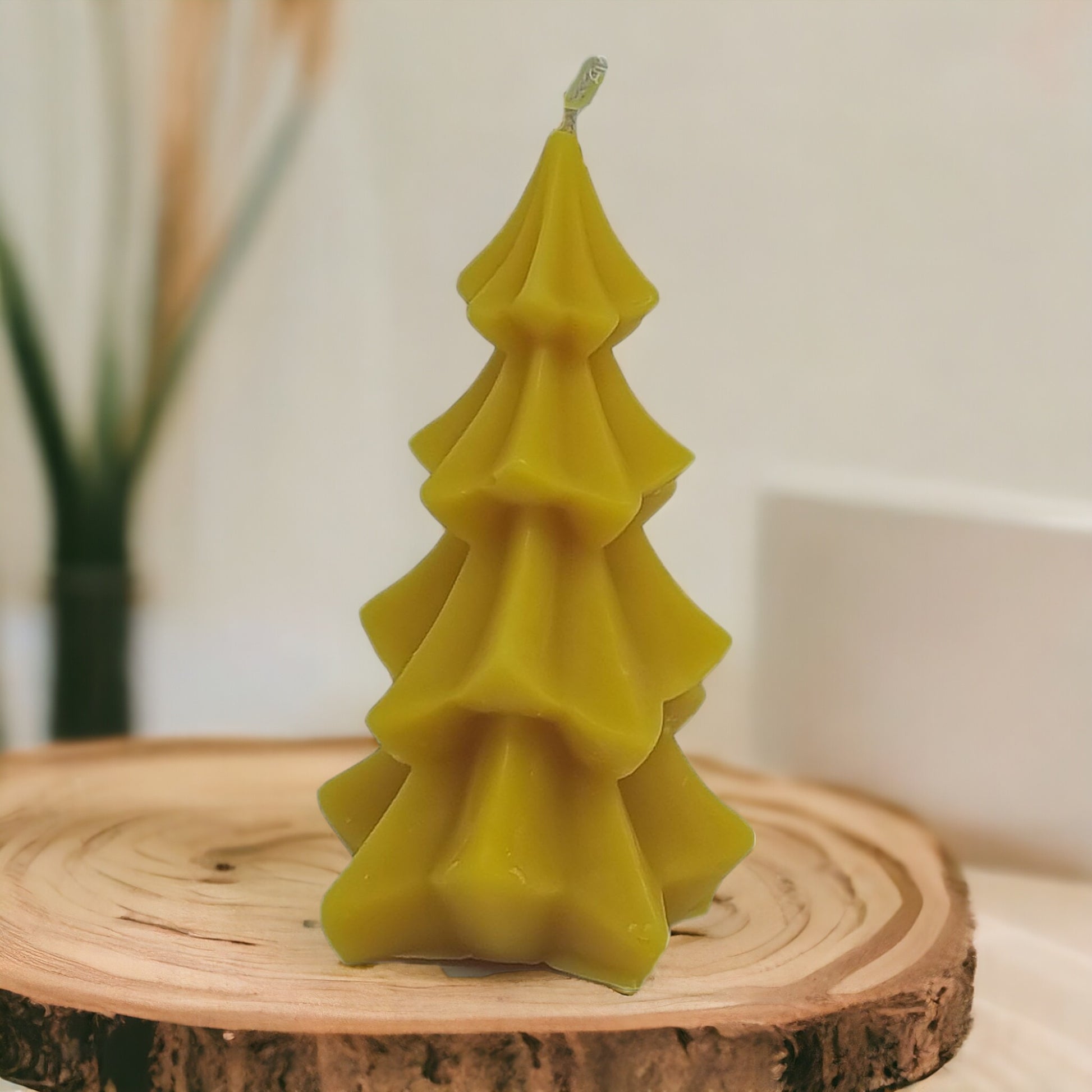 Weihnachtsbaum aus Bienenwachskerzen