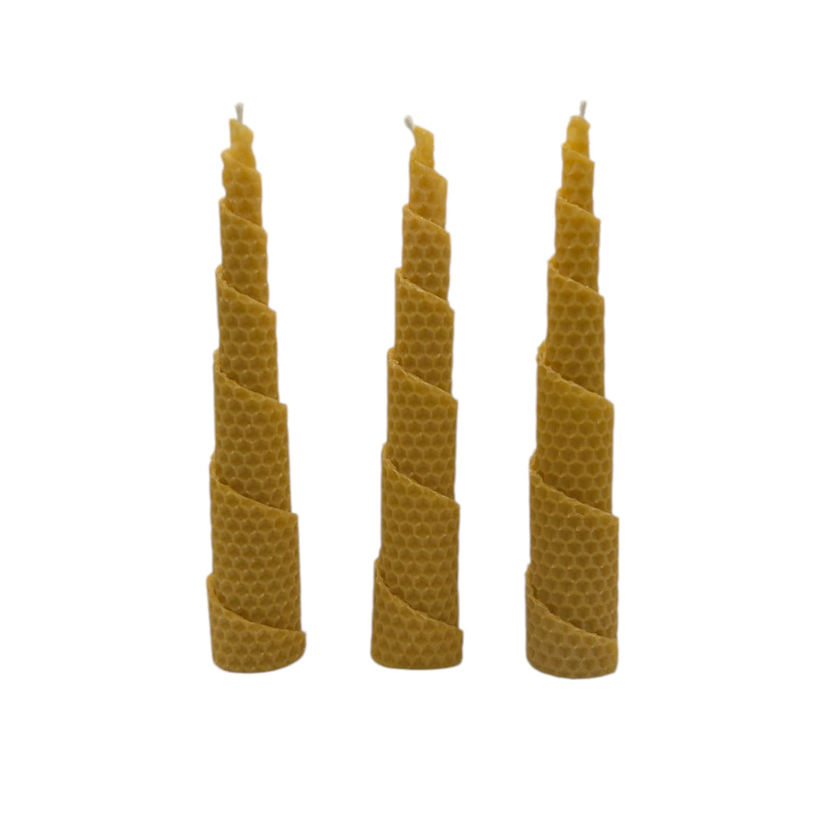 Ein Set aus drei handgefertigten Bienenwachskerzen, sorgfältig aus reinen Bienenwachs-Wachsplatten in eine spiralförmige Form gedreht, nebeneinander auf weißem Hintergrund.