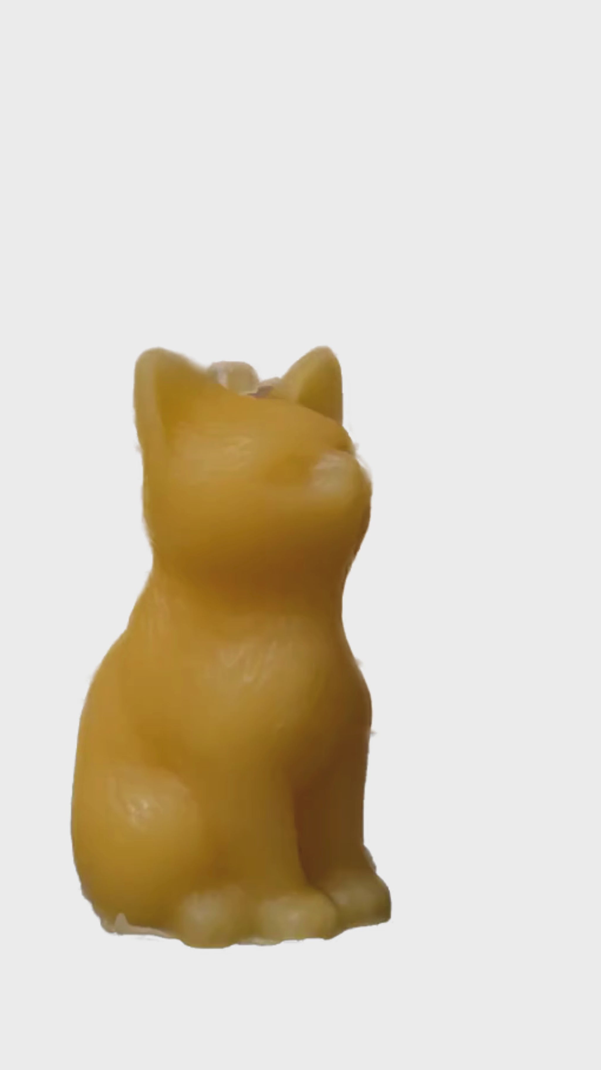 Eine handgefertigte Bienenwachskerze in Form einer sitzenden Katze, freigestellt vor hellem Hintergrund.