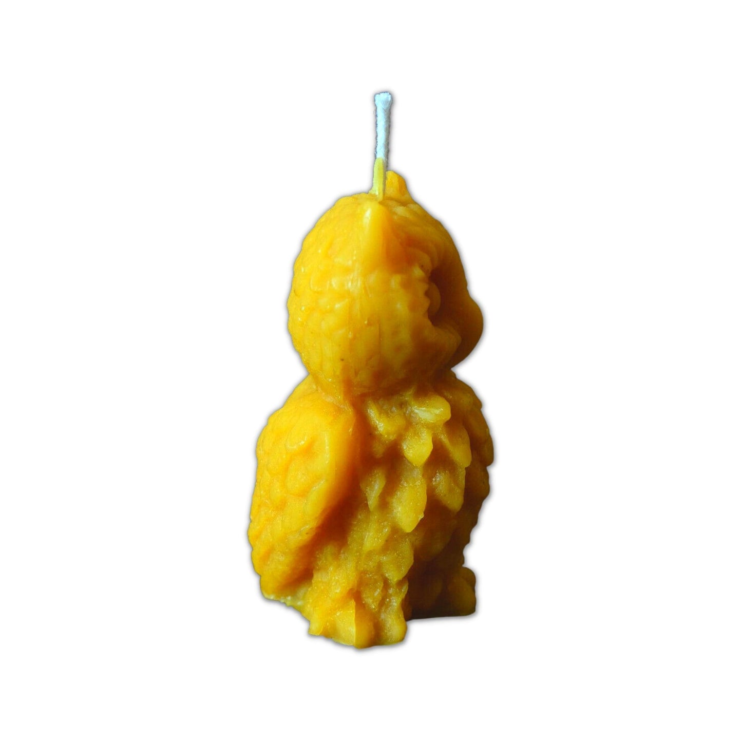 Eule in der Seitenansicht