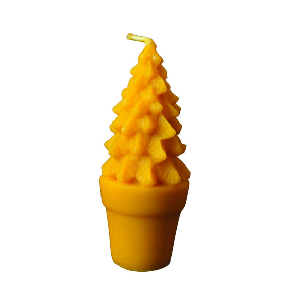 Tannenbaum im Topf als Bienenwachskerze